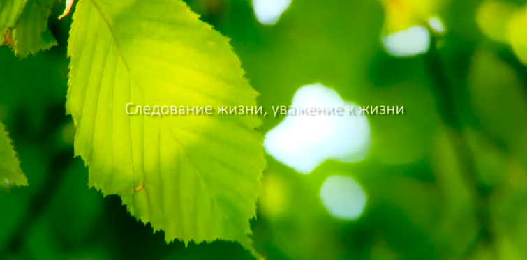 bwin必赢亚洲集团形象片（русский）