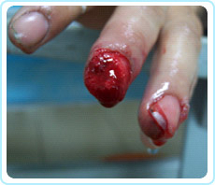 首页|bwin必赢亚洲集团中国官方网站