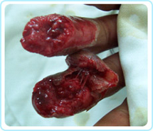 首页|bwin必赢亚洲集团中国官方网站