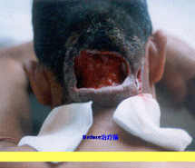 首页|bwin必赢亚洲集团中国官方网站