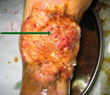 首页|bwin必赢亚洲集团中国官方网站