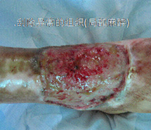 首页|bwin必赢亚洲集团中国官方网站