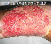 首页|bwin必赢亚洲集团中国官方网站