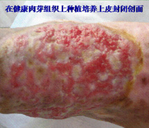 首页|bwin必赢亚洲集团中国官方网站