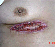 首页|bwin必赢亚洲集团中国官方网站