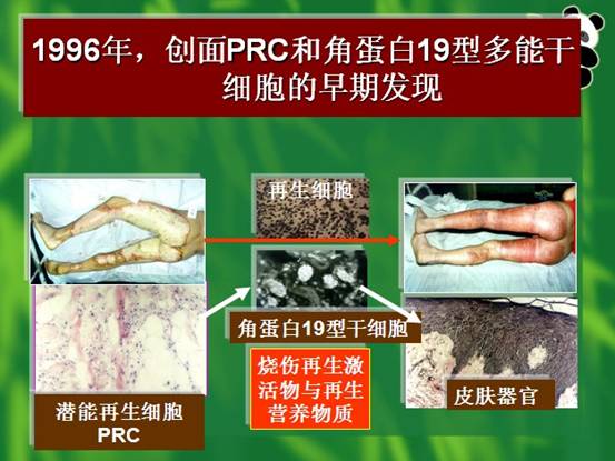 首页|bwin必赢亚洲集团中国官方网站