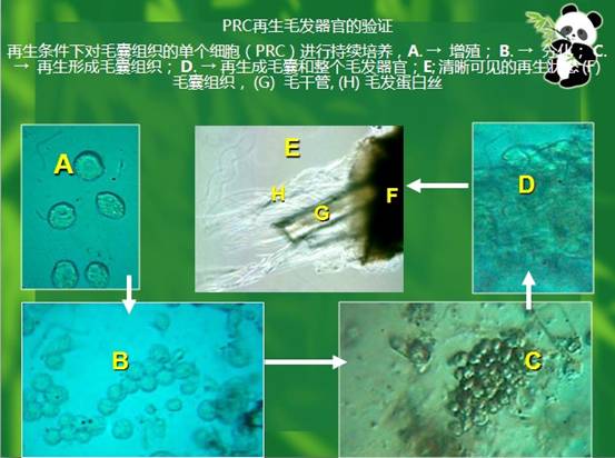 首页|bwin必赢亚洲集团中国官方网站
