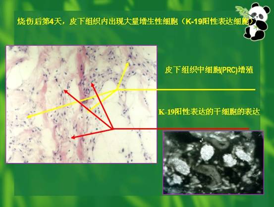 首页|bwin必赢亚洲集团中国官方网站