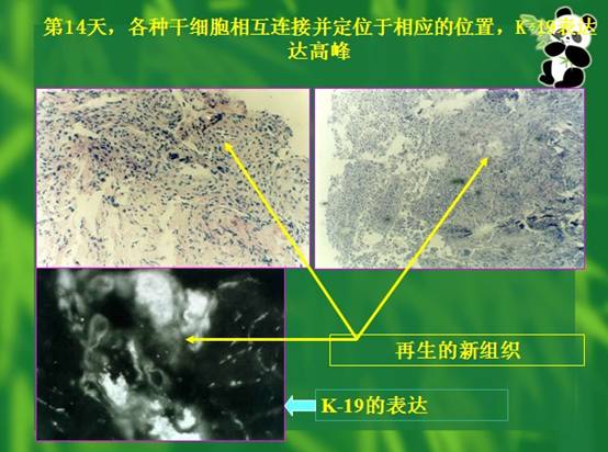 首页|bwin必赢亚洲集团中国官方网站