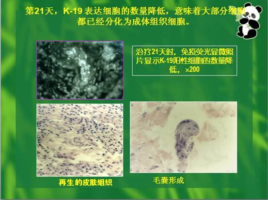 首页|bwin必赢亚洲集团中国官方网站