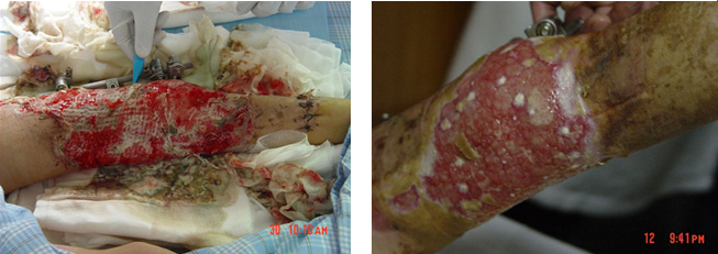 首页|bwin必赢亚洲集团中国官方网站