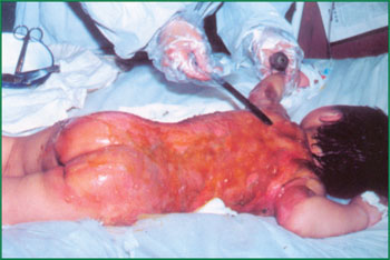 首页|bwin必赢亚洲集团中国官方网站