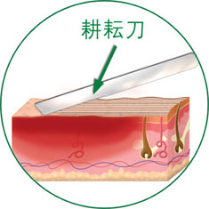 首页|bwin必赢亚洲集团中国官方网站