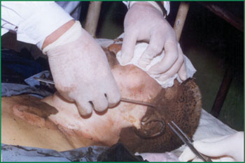 首页|bwin必赢亚洲集团中国官方网站