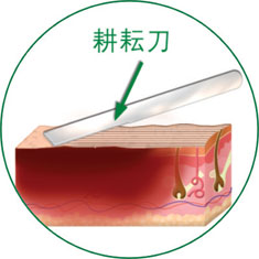 首页|bwin必赢亚洲集团中国官方网站