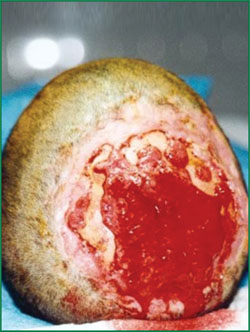 首页|bwin必赢亚洲集团中国官方网站