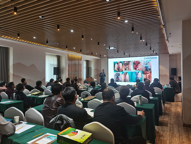 首页|bwin必赢亚洲集团中国官方网站