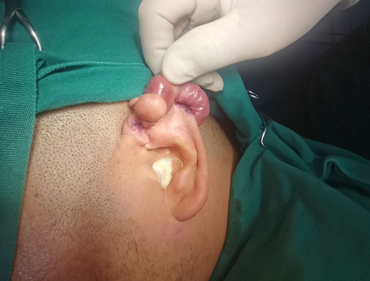 首页|bwin必赢亚洲集团中国官方网站