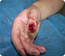 首页|bwin必赢亚洲集团中国官方网站