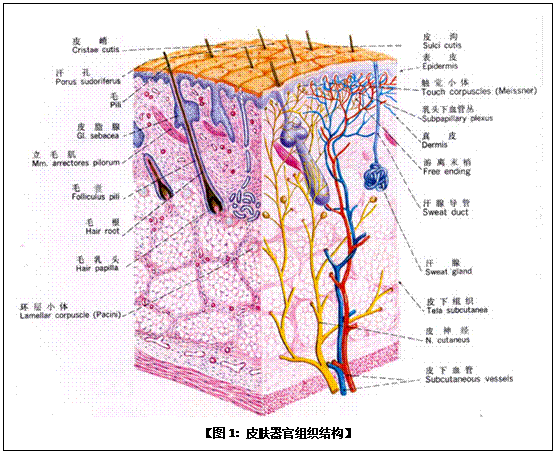 首页|bwin必赢亚洲集团中国官方网站