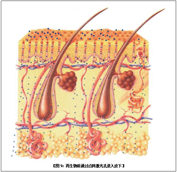 首页|bwin必赢亚洲集团中国官方网站