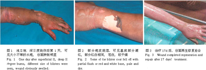 首页|bwin必赢亚洲集团中国官方网站