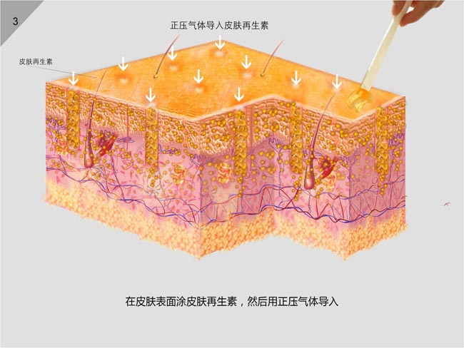 首页|bwin必赢亚洲集团中国官方网站