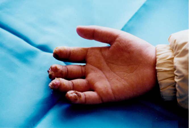 首页|bwin必赢亚洲集团中国官方网站