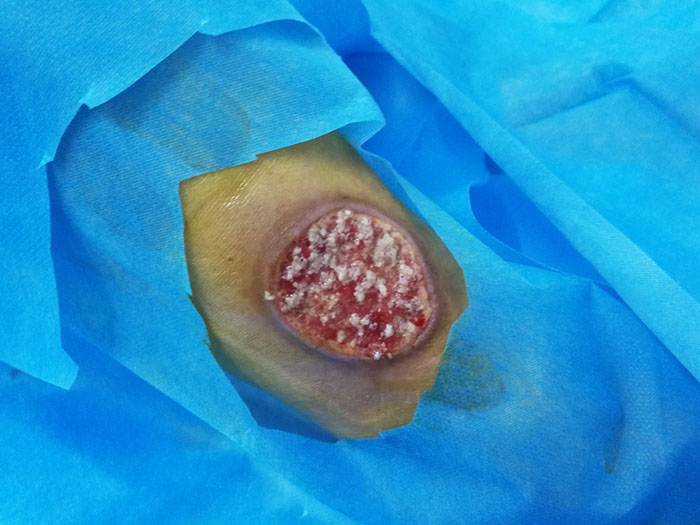 首页|bwin必赢亚洲集团中国官方网站