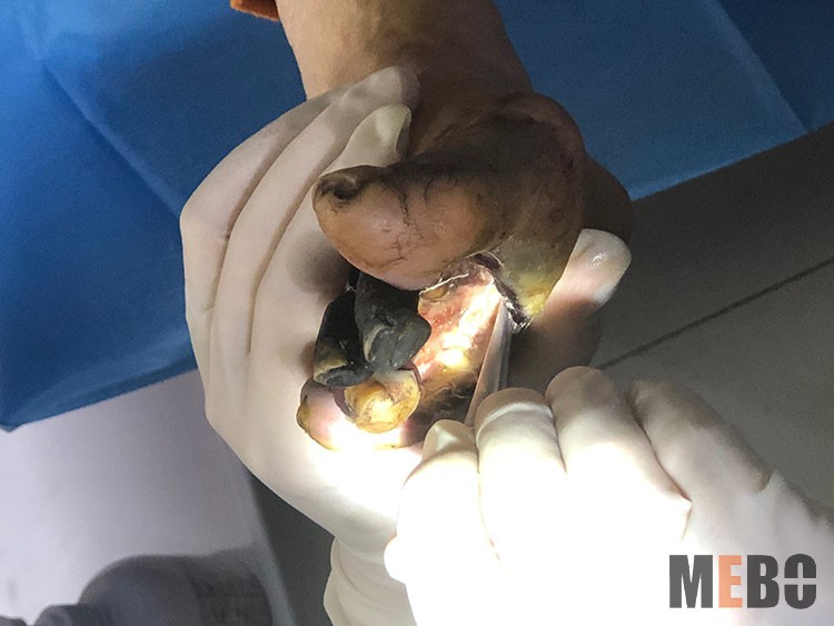 首页|bwin必赢亚洲集团中国官方网站