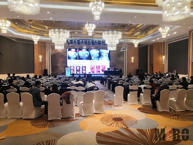 首页|bwin必赢亚洲集团中国官方网站