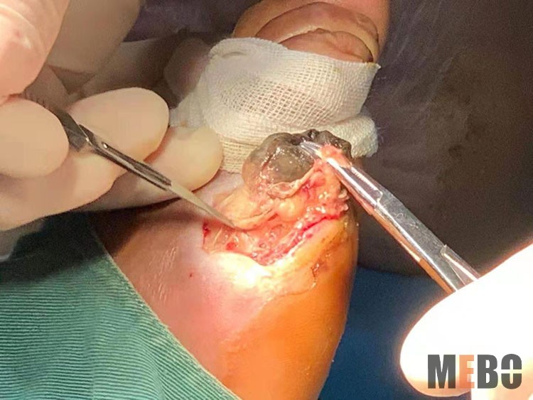 首页|bwin必赢亚洲集团中国官方网站