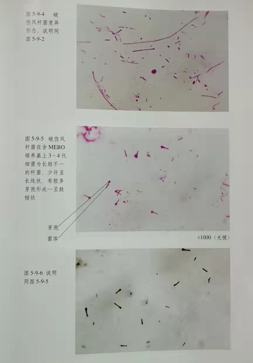 首页|bwin必赢亚洲集团中国官方网站