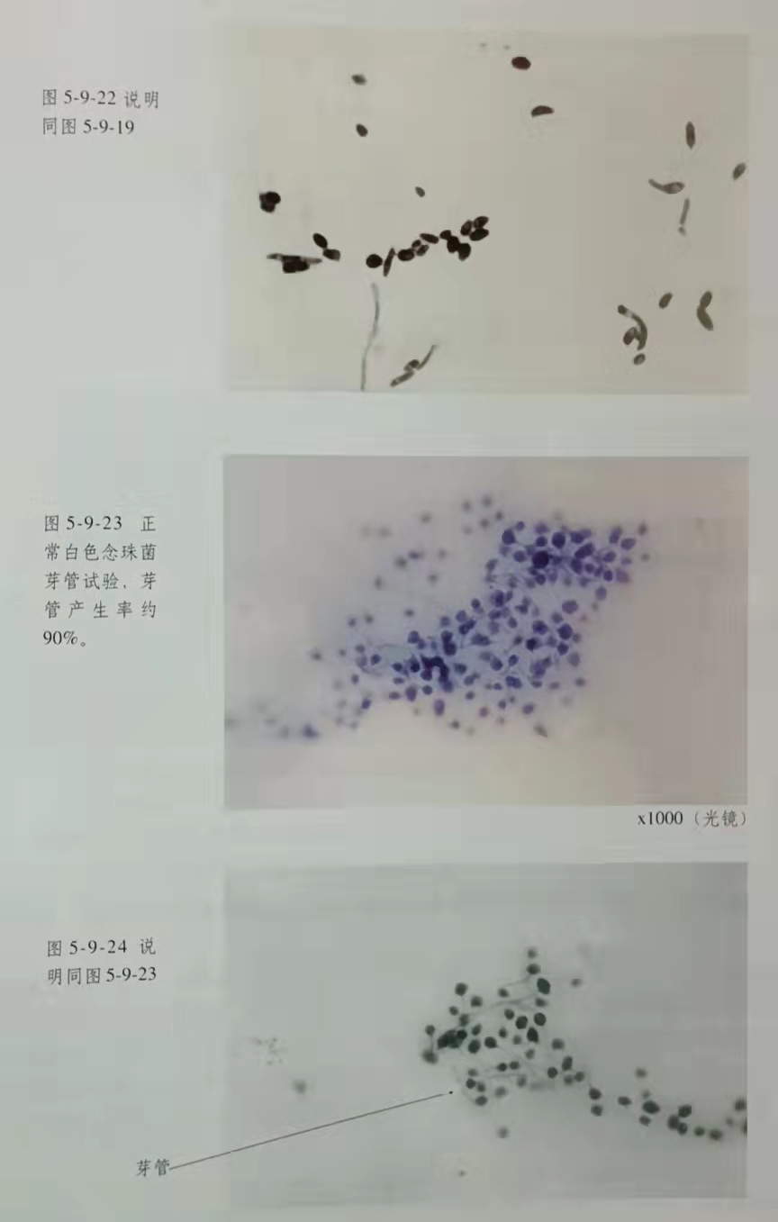 首页|bwin必赢亚洲集团中国官方网站