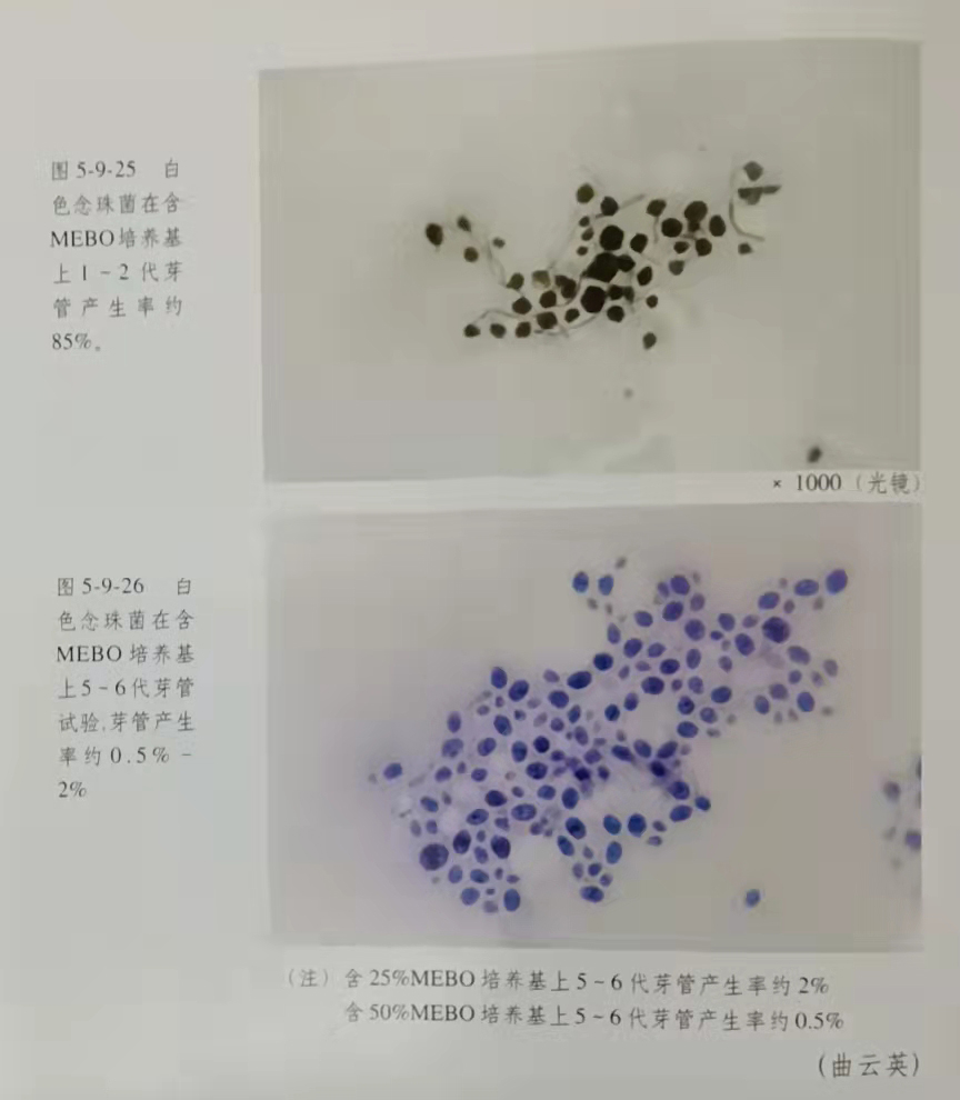 首页|bwin必赢亚洲集团中国官方网站