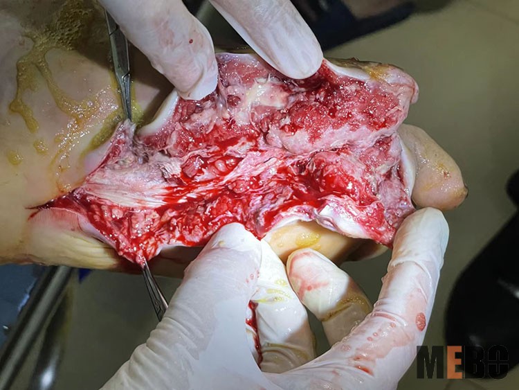 首页|bwin必赢亚洲集团中国官方网站