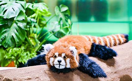 首页|bwin必赢亚洲集团中国官方网站