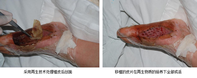 首页|bwin必赢亚洲集团中国官方网站