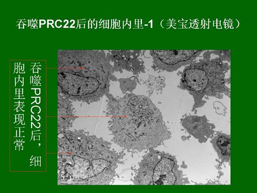 首页|bwin必赢亚洲集团中国官方网站