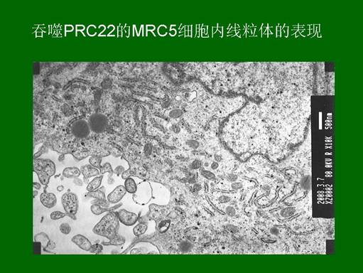 首页|bwin必赢亚洲集团中国官方网站