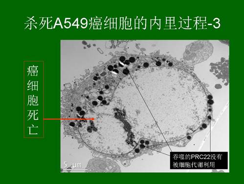 首页|bwin必赢亚洲集团中国官方网站
