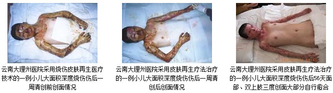 首页|bwin必赢亚洲集团中国官方网站