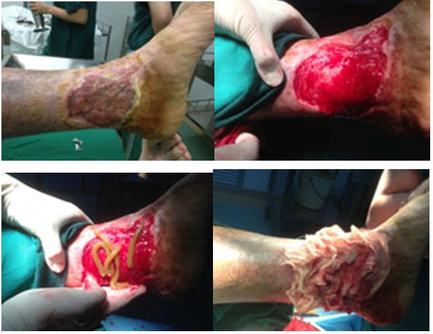 首页|bwin必赢亚洲集团中国官方网站