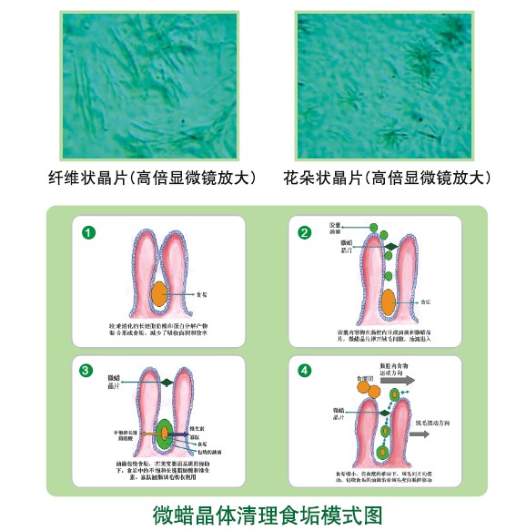 首页|bwin必赢亚洲集团中国官方网站