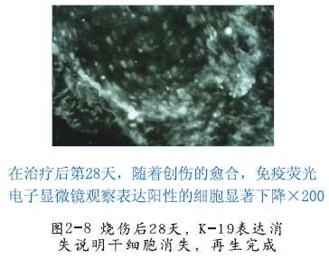 首页|bwin必赢亚洲集团中国官方网站