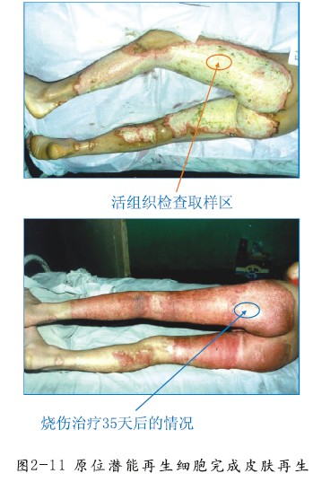 首页|bwin必赢亚洲集团中国官方网站