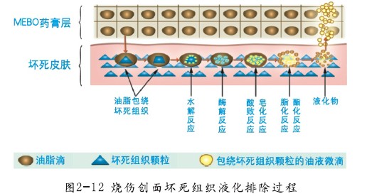 首页|bwin必赢亚洲集团中国官方网站