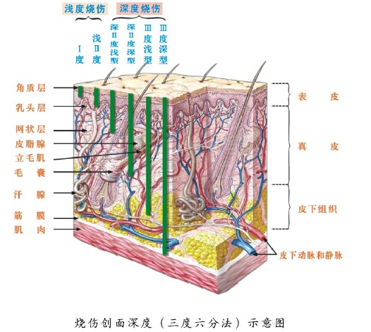 首页|bwin必赢亚洲集团中国官方网站