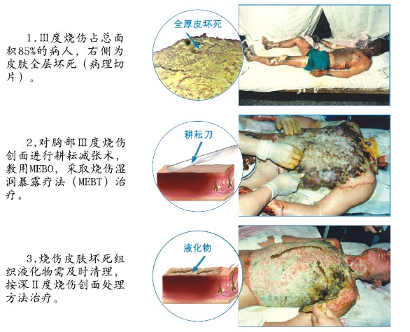 首页|bwin必赢亚洲集团中国官方网站