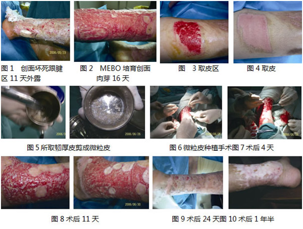 首页|bwin必赢亚洲集团中国官方网站